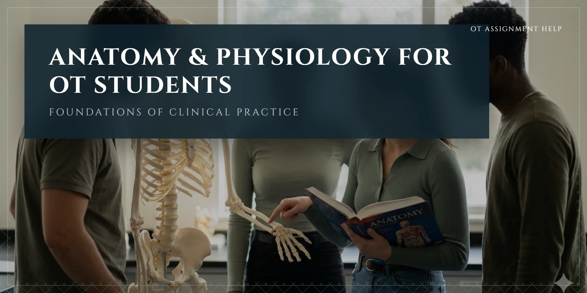 Anatomy and Physiology for Occupational Therapy Students: What You Need for Assignments