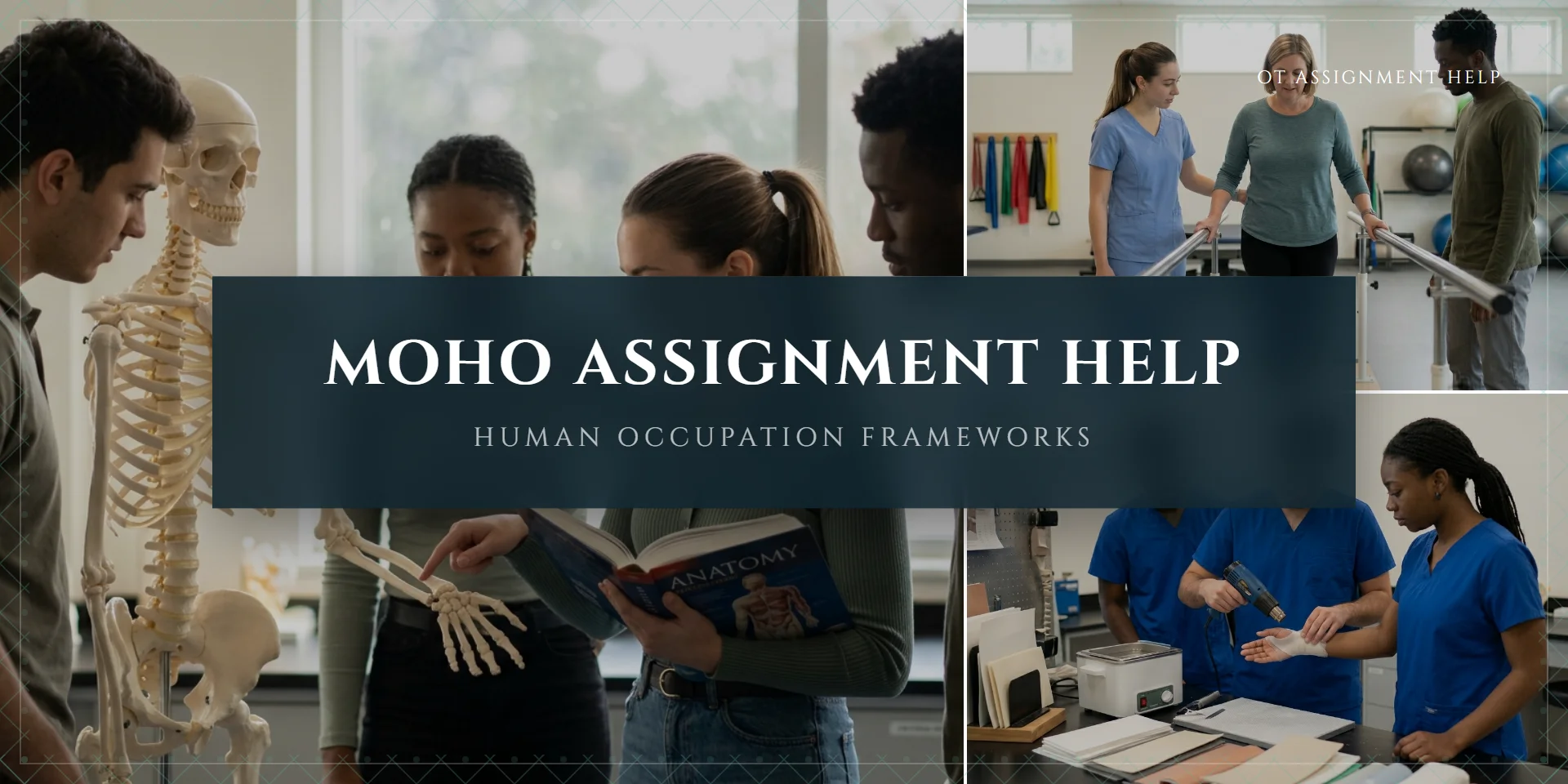 MOHO Assignment Help — Applying the Model of Human Occupation in OT Case Studies and Essays